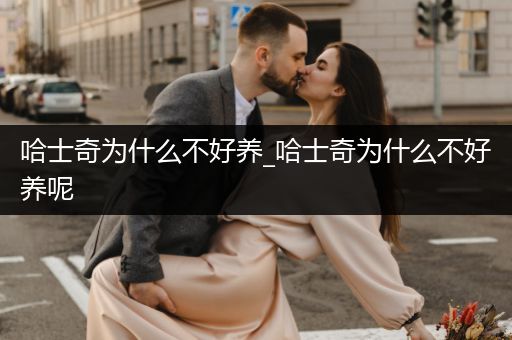 哈士奇為什么不好養(yǎng)_哈士奇為什么不好養(yǎng)呢