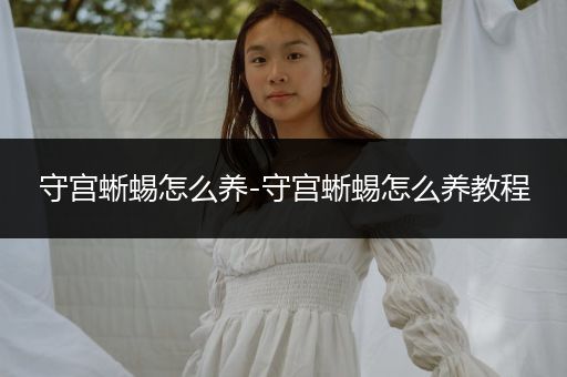 守宮蜥蜴怎么養(yǎng)-守宮蜥蜴怎么養(yǎng)教程