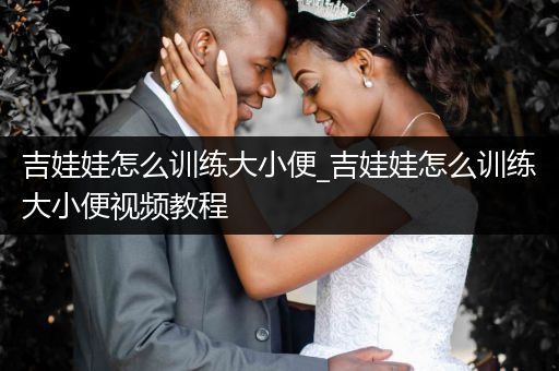 吉娃娃怎么訓(xùn)練大小便_吉娃娃怎么訓(xùn)練大小便視頻教程