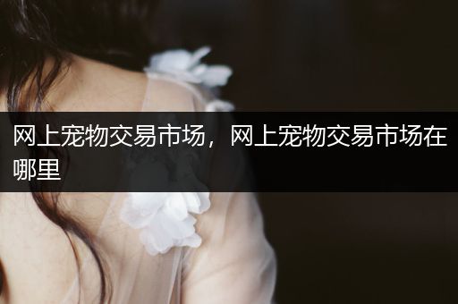 網(wǎng)上寵物交易市場，網(wǎng)上寵物交易市場在哪里