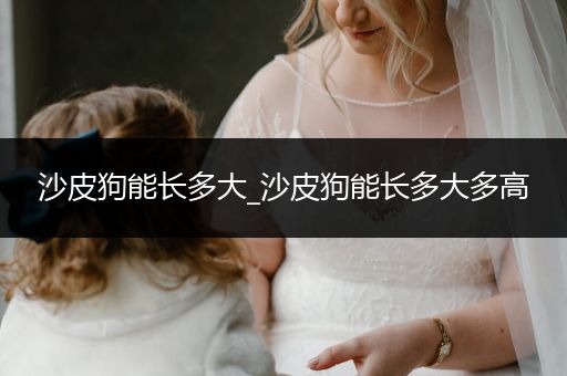 沙皮狗能長多大_沙皮狗能長多大多高