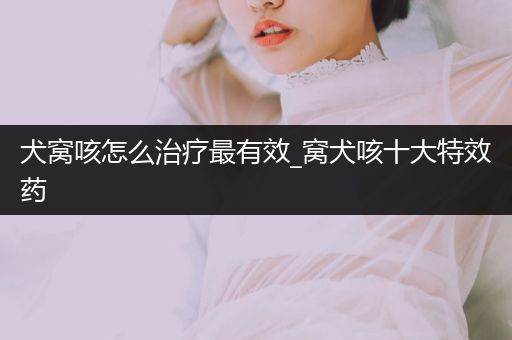 犬窩咳怎么治療最有效_窩犬咳十大特效藥