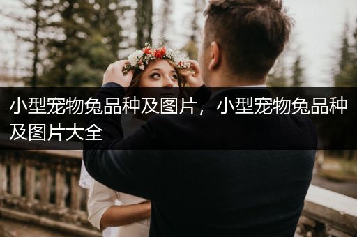 小型寵物兔品種及圖片，小型寵物兔品種及圖片大全