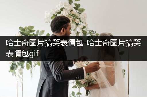 哈士奇圖片搞笑表情包-哈士奇圖片搞笑表情包gif