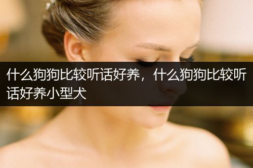 什么狗狗比較聽(tīng)話好養(yǎng),什么狗狗比較聽(tīng)話好養(yǎng)小型犬