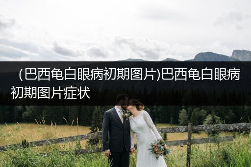 （巴西龜白眼病初期圖片)巴西龜白眼病初期圖片癥狀