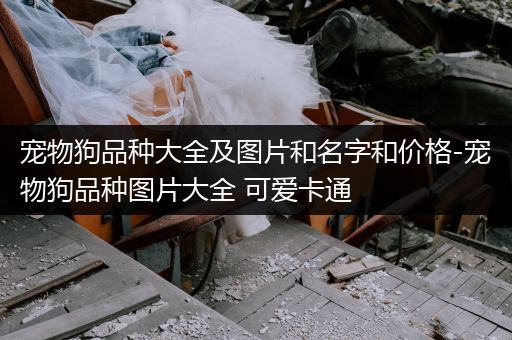 寵物狗品種大全及圖片和名字和價格-寵物狗品種圖片大全 可愛卡通