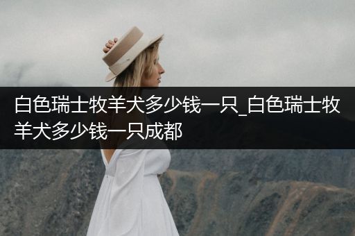 白色瑞士牧羊犬多少錢一只_白色瑞士牧羊犬多少錢一只成都