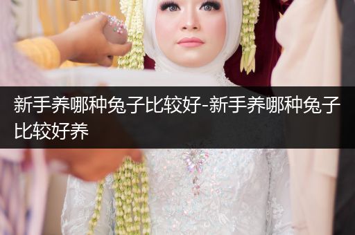 新手養(yǎng)哪種兔子比較好-新手養(yǎng)哪種兔子比較好養(yǎng)