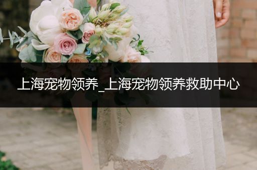 上海寵物領(lǐng)養(yǎng)_上海寵物領(lǐng)養(yǎng)救助中心