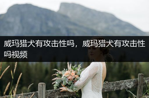 威瑪獵犬有攻擊性嗎，威瑪獵犬有攻擊性嗎視頻