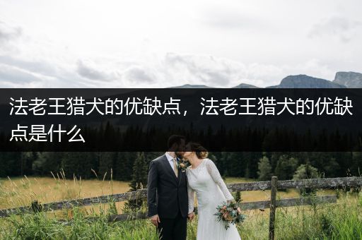 法老王獵犬的優(yōu)缺點(diǎn)，法老王獵犬的優(yōu)缺點(diǎn)是什么