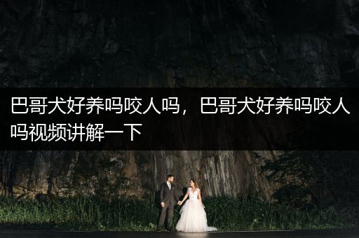 巴哥犬好養(yǎng)嗎咬人嗎，巴哥犬好養(yǎng)嗎咬人嗎視頻講解一下