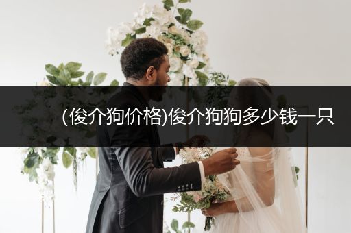 (俊介狗價(jià)格)俊介狗狗多少錢(qián)一只