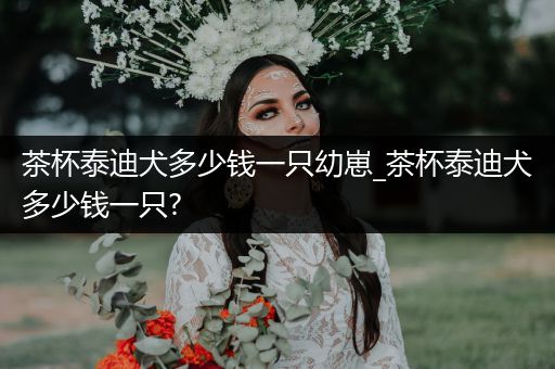 茶杯泰迪犬多少錢一只幼崽_茶杯泰迪犬多少錢一只?