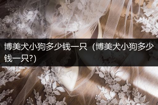 博美犬小狗多少錢一只(博美犬小狗多少錢一只?)