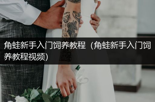 角蛙新手入門飼養(yǎng)教程（角蛙新手入門飼養(yǎng)教程視頻）