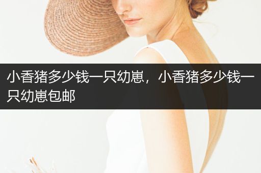 小香豬多少錢一只幼崽，小香豬多少錢一只幼崽包郵