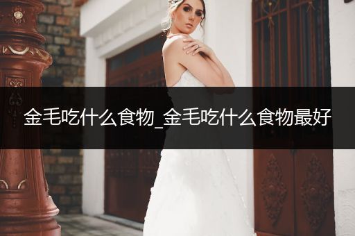 金毛吃什么食物_金毛吃什么食物最好