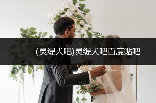 (靈緹犬吧)靈緹犬吧百度貼吧