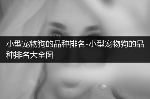 小型寵物狗的品種排名-小型寵物狗的品種排名大全圖