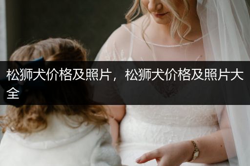 松獅犬價格及照片，松獅犬價格及照片大全