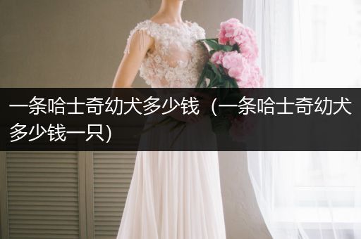 一條哈士奇幼犬多少錢（一條哈士奇幼犬多少錢一只）