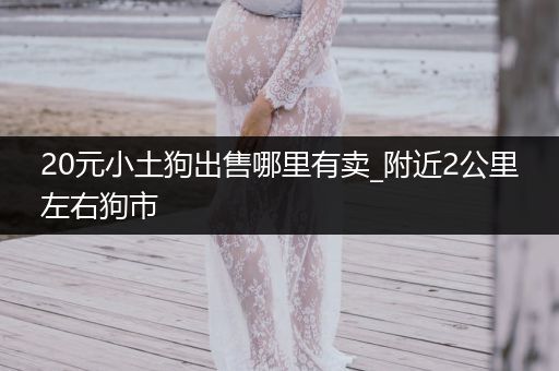 20元小土狗出售哪里有賣_附近2公里左右狗市