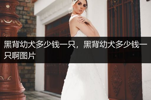 黑背幼犬多少錢一只，黑背幼犬多少錢一只啊圖片