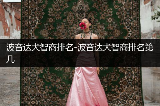 波音達(dá)犬智商排名-波音達(dá)犬智商排名第幾