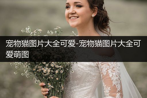 寵物貓圖片大全可愛-寵物貓圖片大全可愛萌圖