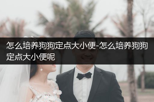 怎么培養(yǎng)狗狗定點大小便-怎么培養(yǎng)狗狗定點大小便呢