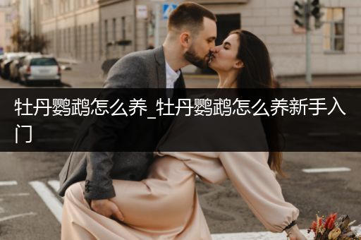 牡丹鸚鵡怎么養(yǎng)_牡丹鸚鵡怎么養(yǎng)新手入門