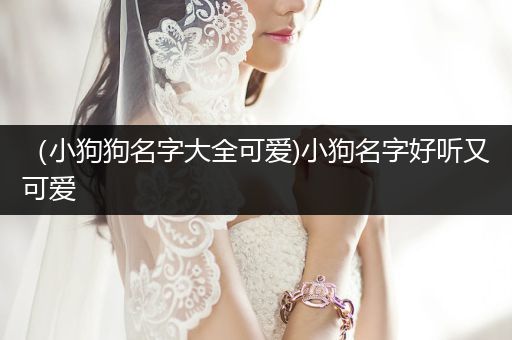 （小狗狗名字大全可愛)小狗名字好聽又可愛