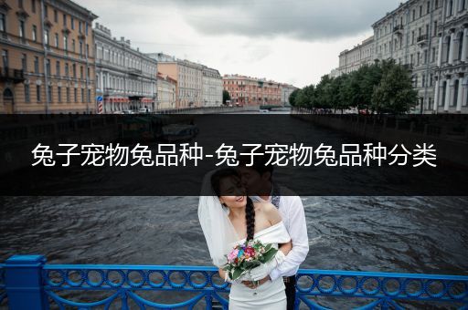 兔子寵物兔品種-兔子寵物兔品種分類