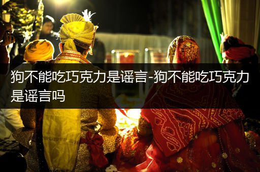 狗不能吃巧克力是謠言-狗不能吃巧克力是謠言嗎