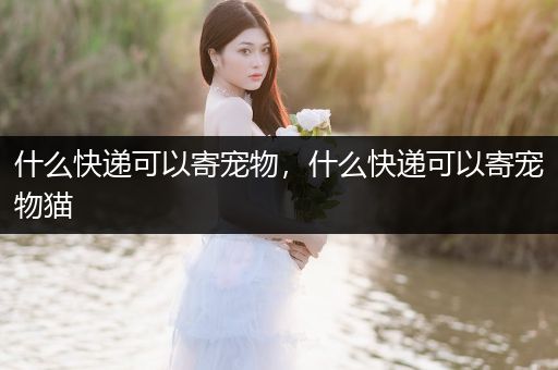 什么快遞可以寄寵物,什么快遞可以寄寵物貓