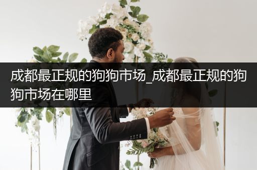 成都最正規(guī)的狗狗市場_成都最正規(guī)的狗狗市場在哪里