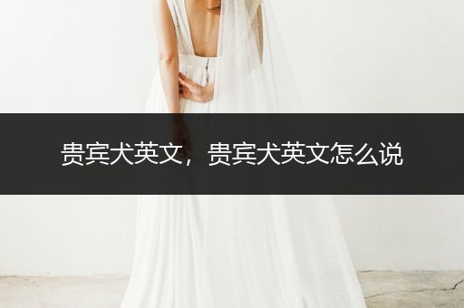 貴賓犬英文，貴賓犬英文怎么說(shuō)