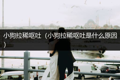 小狗拉稀嘔吐（小狗拉稀嘔吐是什么原因）