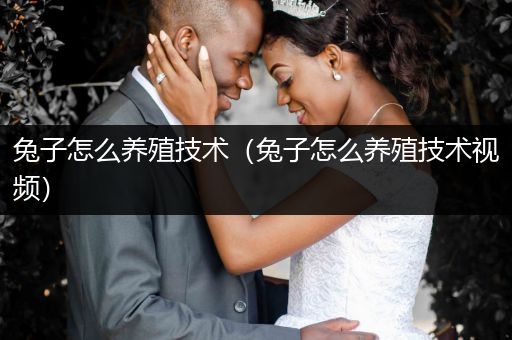 兔子怎么養(yǎng)殖技術(shù)（兔子怎么養(yǎng)殖技術(shù)視頻）