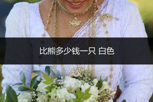比熊多少錢(qián)一只 白色