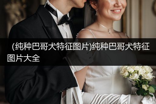 （純種巴哥犬特征圖片)純種巴哥犬特征圖片大全