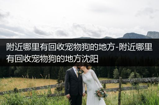 附近哪里有回收寵物狗的地方-附近哪里有回收寵物狗的地方沈陽(yáng)