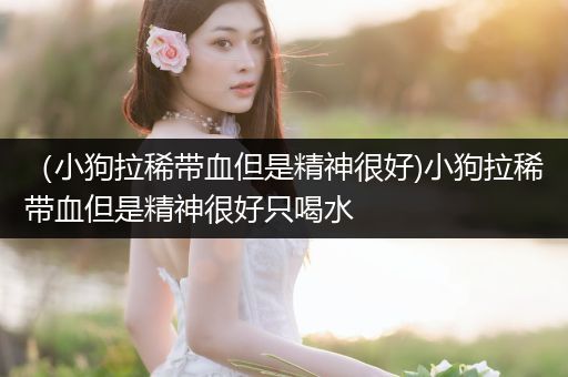（小狗拉稀帶血但是精神很好)小狗拉稀帶血但是精神很好只喝水