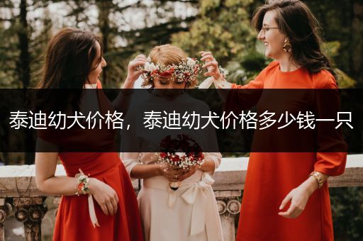 泰迪幼犬價(jià)格,泰迪幼犬價(jià)格多少錢一只