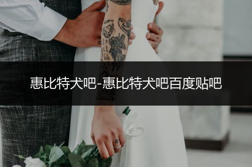 惠比特犬吧-惠比特犬吧百度貼吧