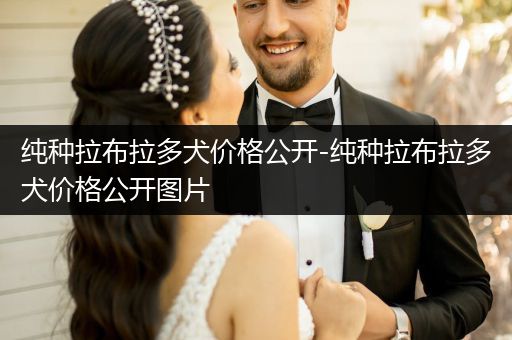 純種拉布拉多犬價(jià)格公開(kāi)-純種拉布拉多犬價(jià)格公開(kāi)圖片