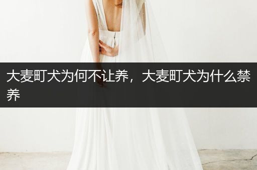 大麥町犬為何不讓養(yǎng)，大麥町犬為什么禁養(yǎng)