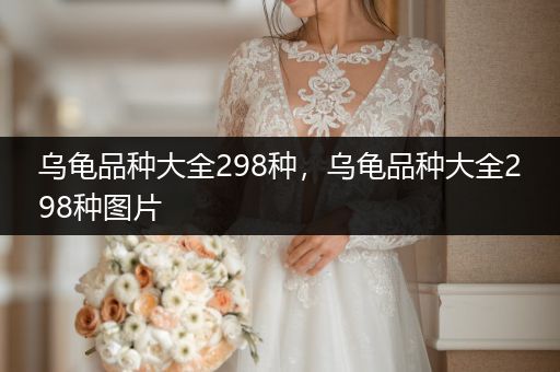 烏龜品種大全298種,烏龜品種大全298種圖片